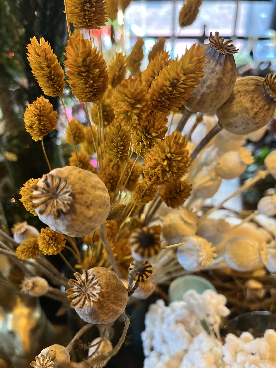 Haptikwerk - Pflanzen Blume
